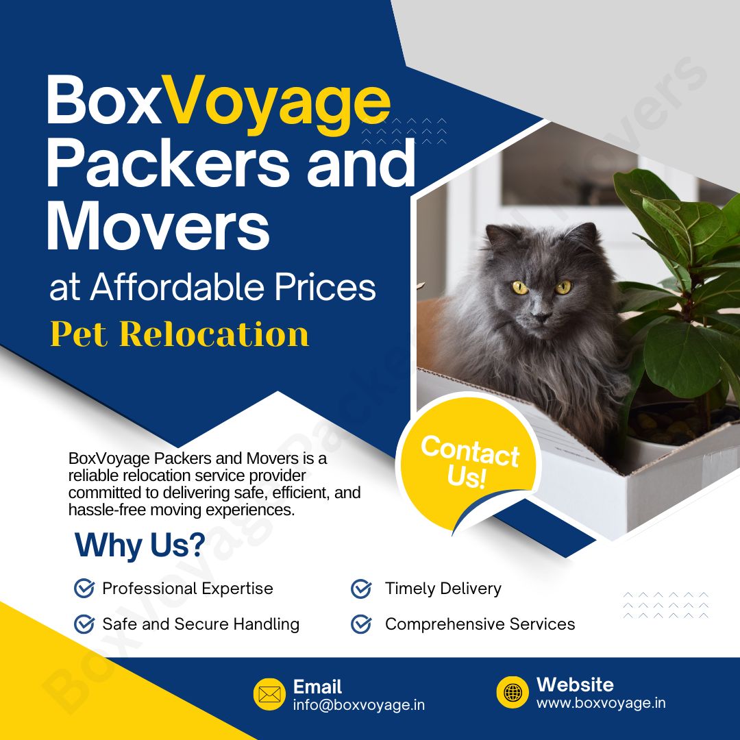 BoxVoyage Packers and Movers Pet Relocation